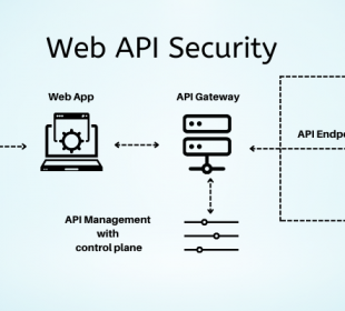 RESTful API Security